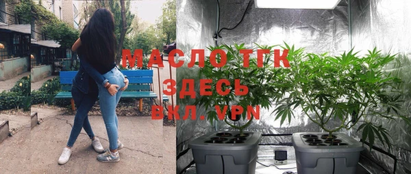 эйфоретик Арсеньев