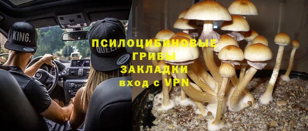 шишки Балабаново