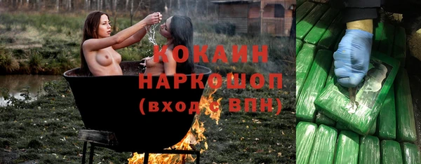 эйфоретик Арсеньев
