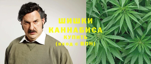 шишки Балабаново