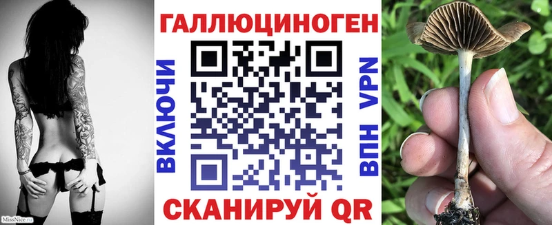 даркнет сайт  Лобня  Галлюциногенные грибы Cubensis 